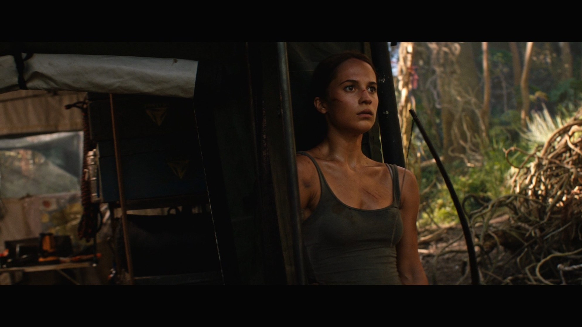 Alicia Vikander Alicia Vikander