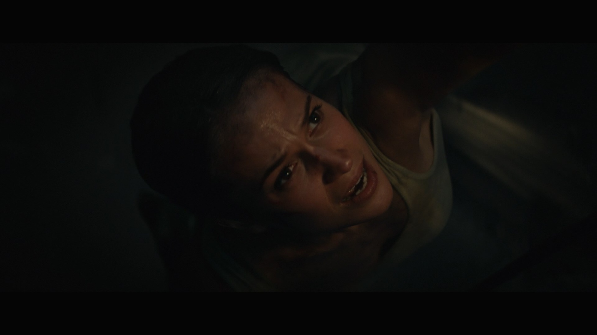 Alicia Vikander Alicia Vikander