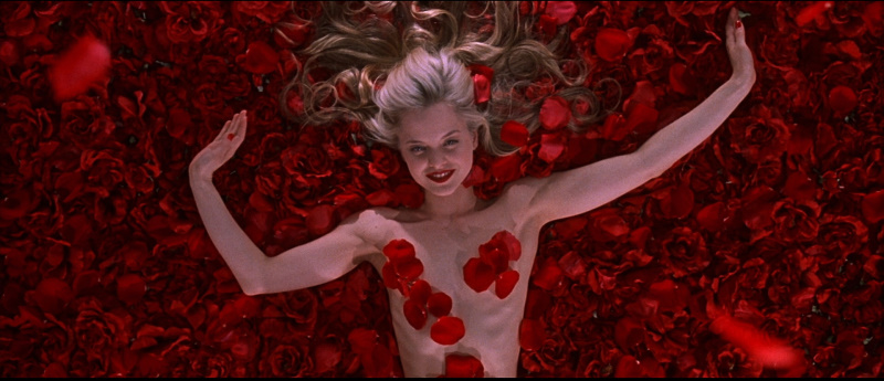 American Beauty American Beauty