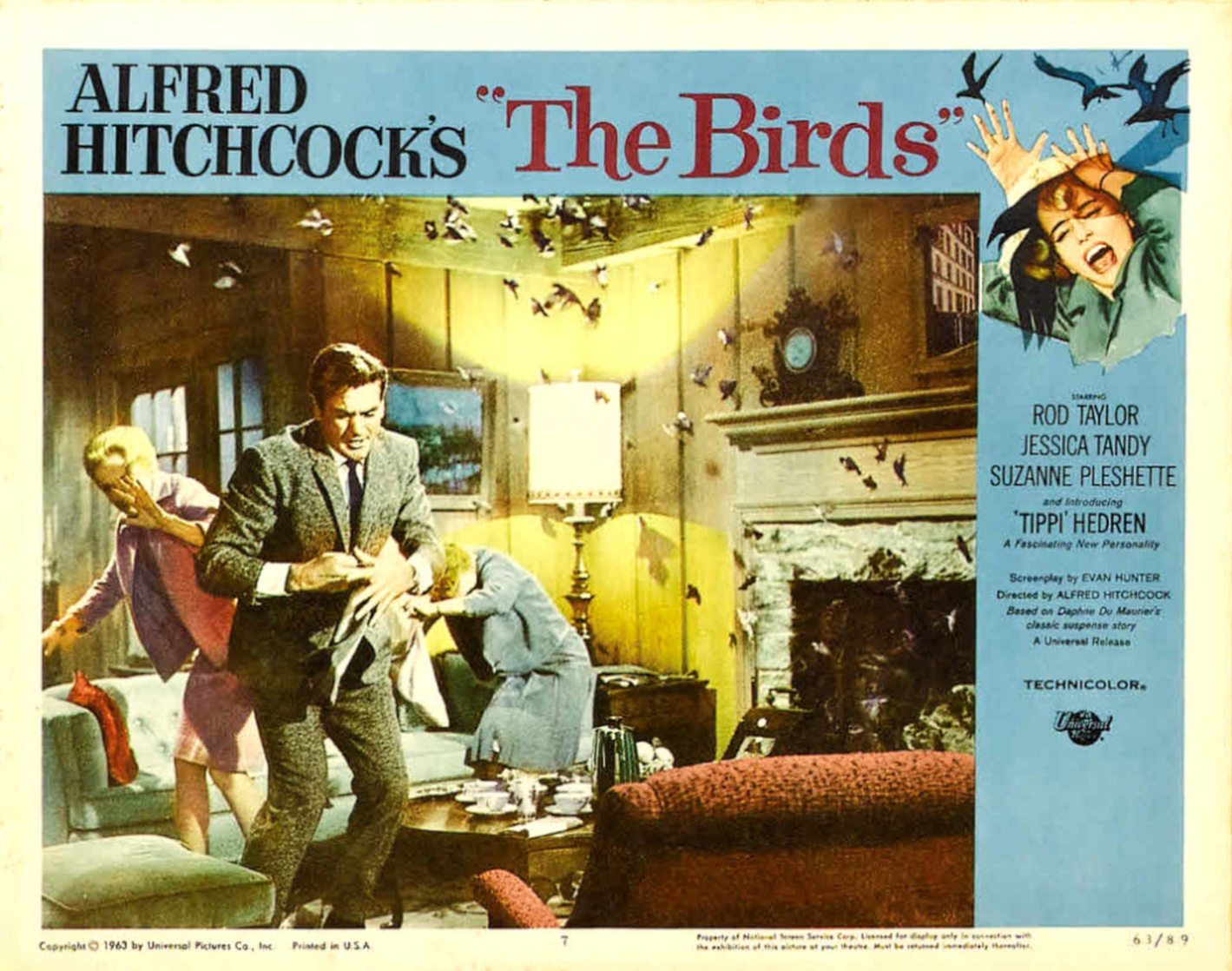 The Birds