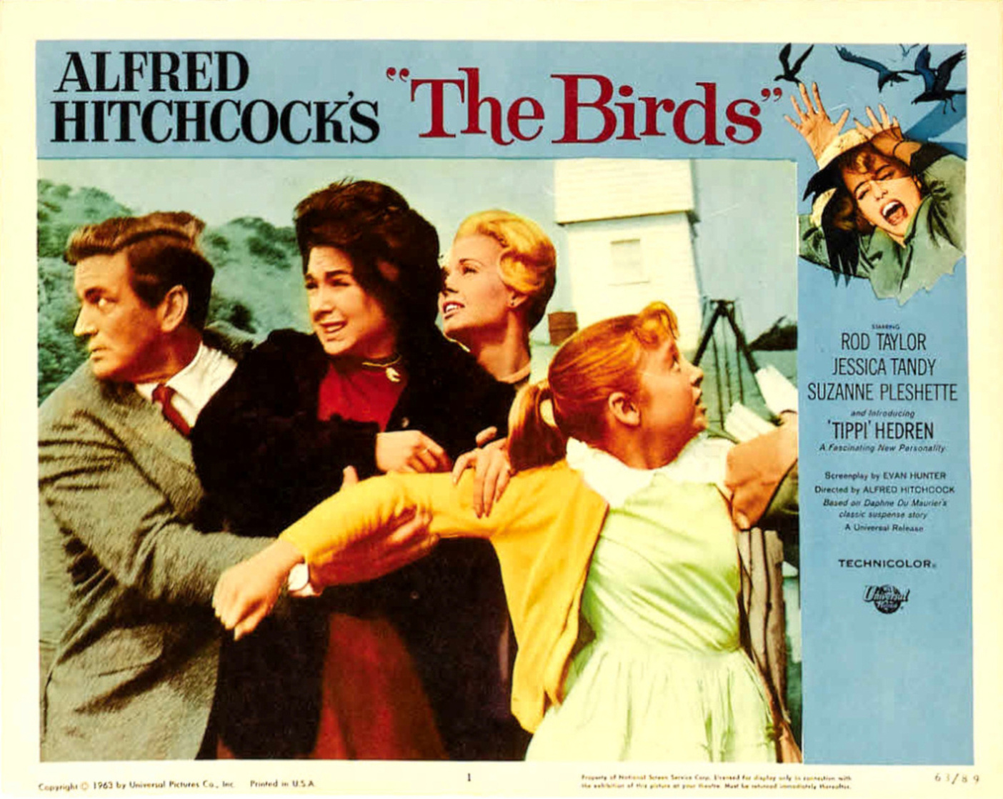 The Birds