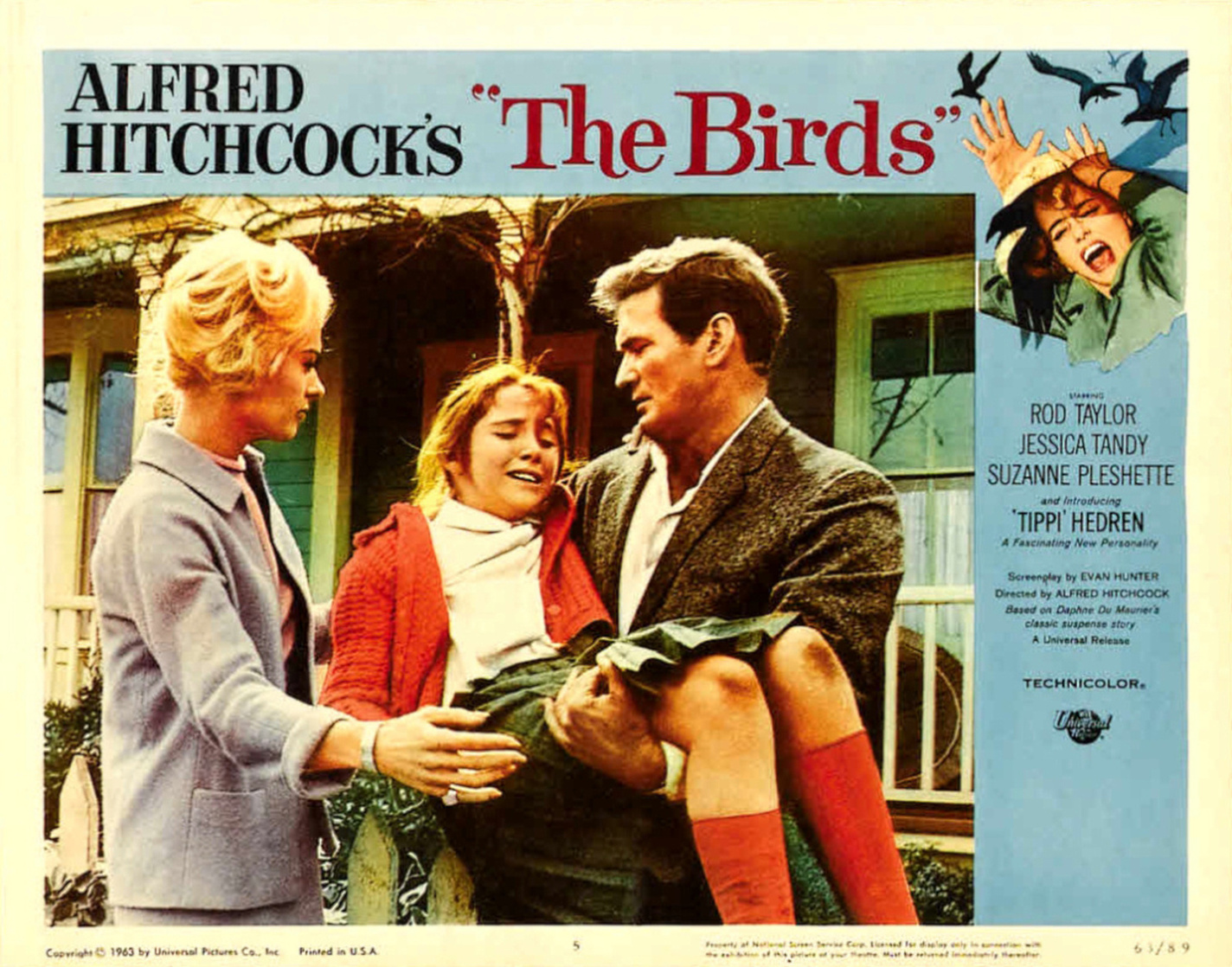 The Birds