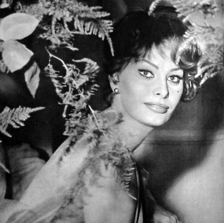 Sophia Loren Sophia Loren
