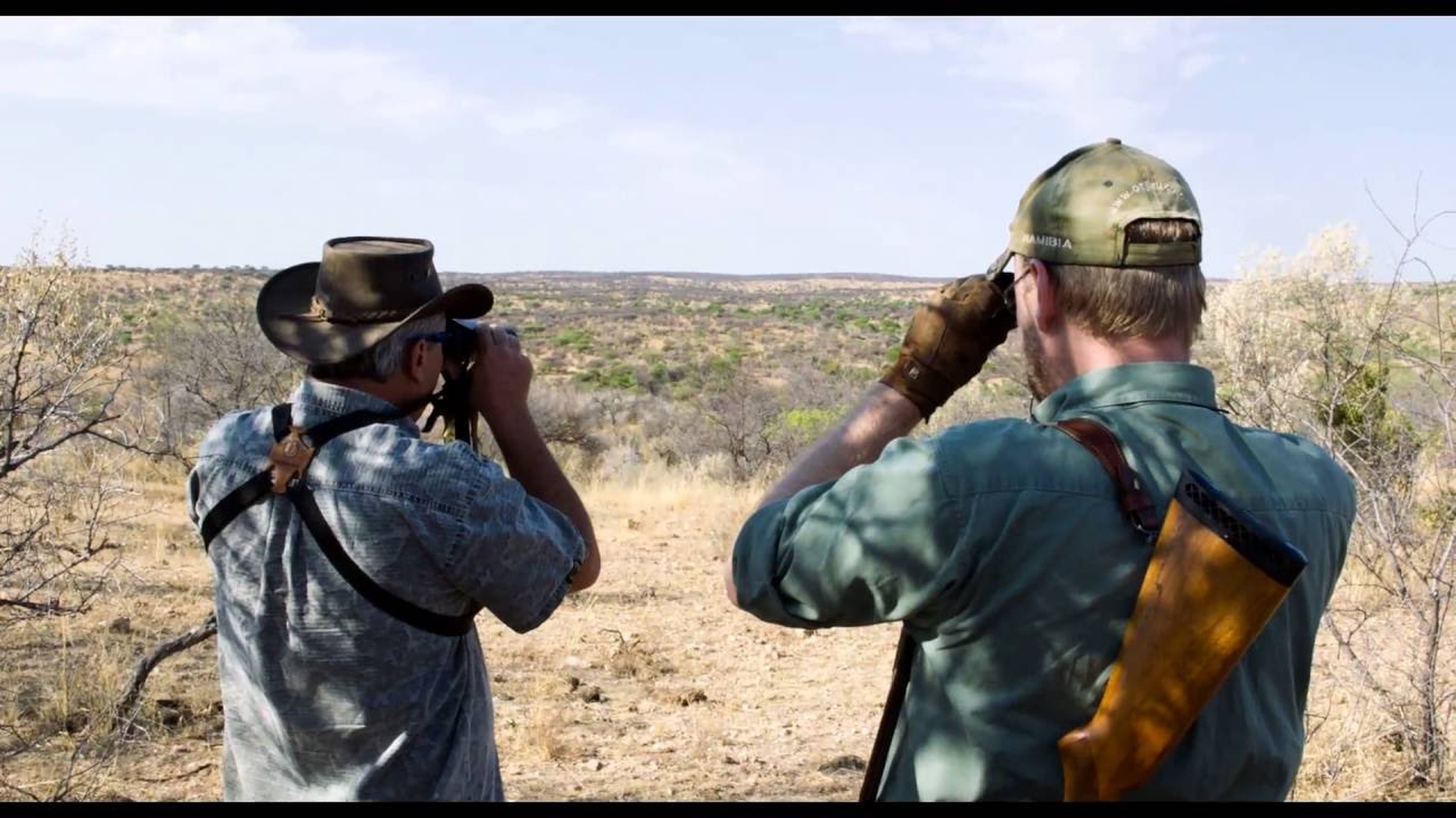 Safari Safari