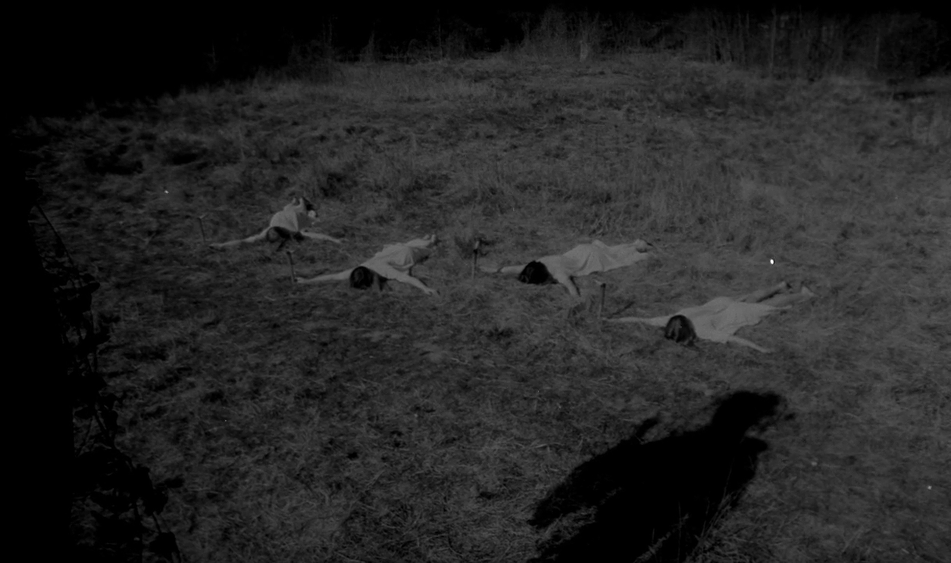 The Rape of the Vampire The Rape of the Vampire