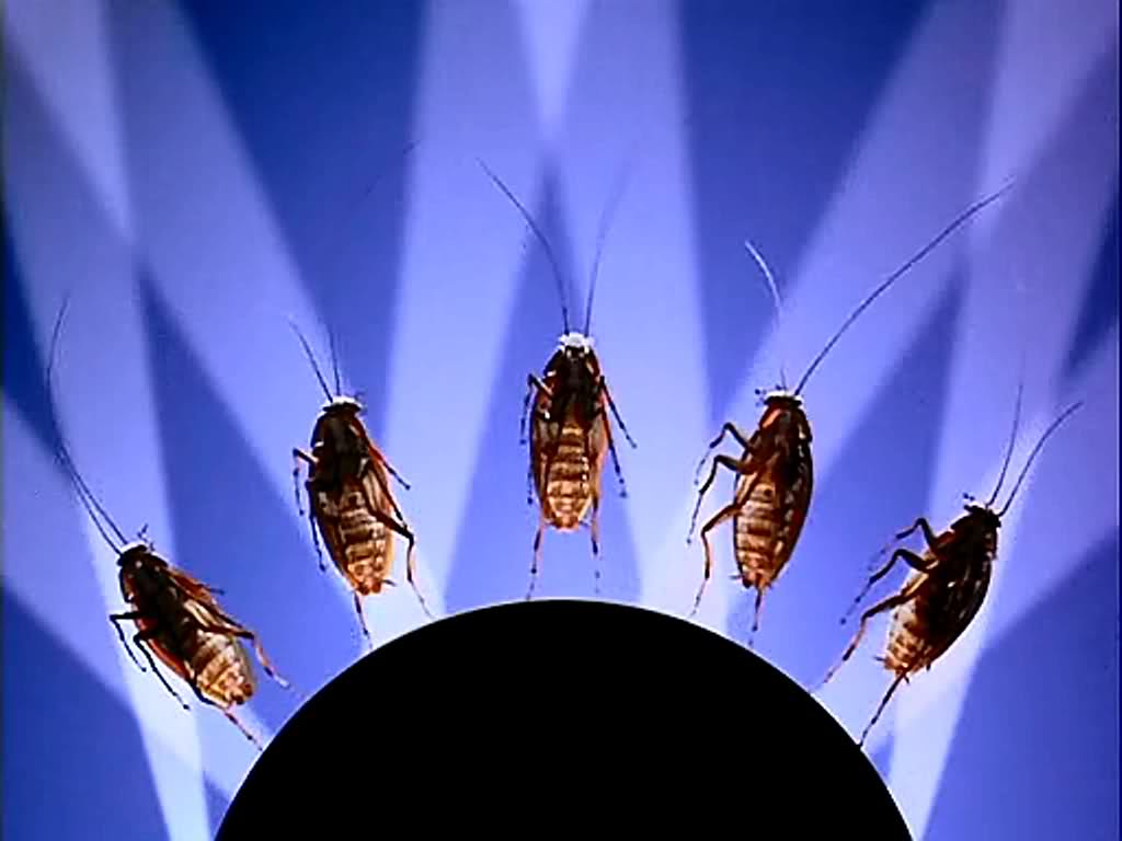 Joe's Apartment image