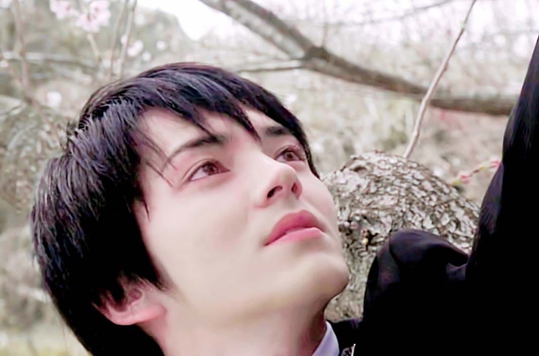 Kento Hayashi
