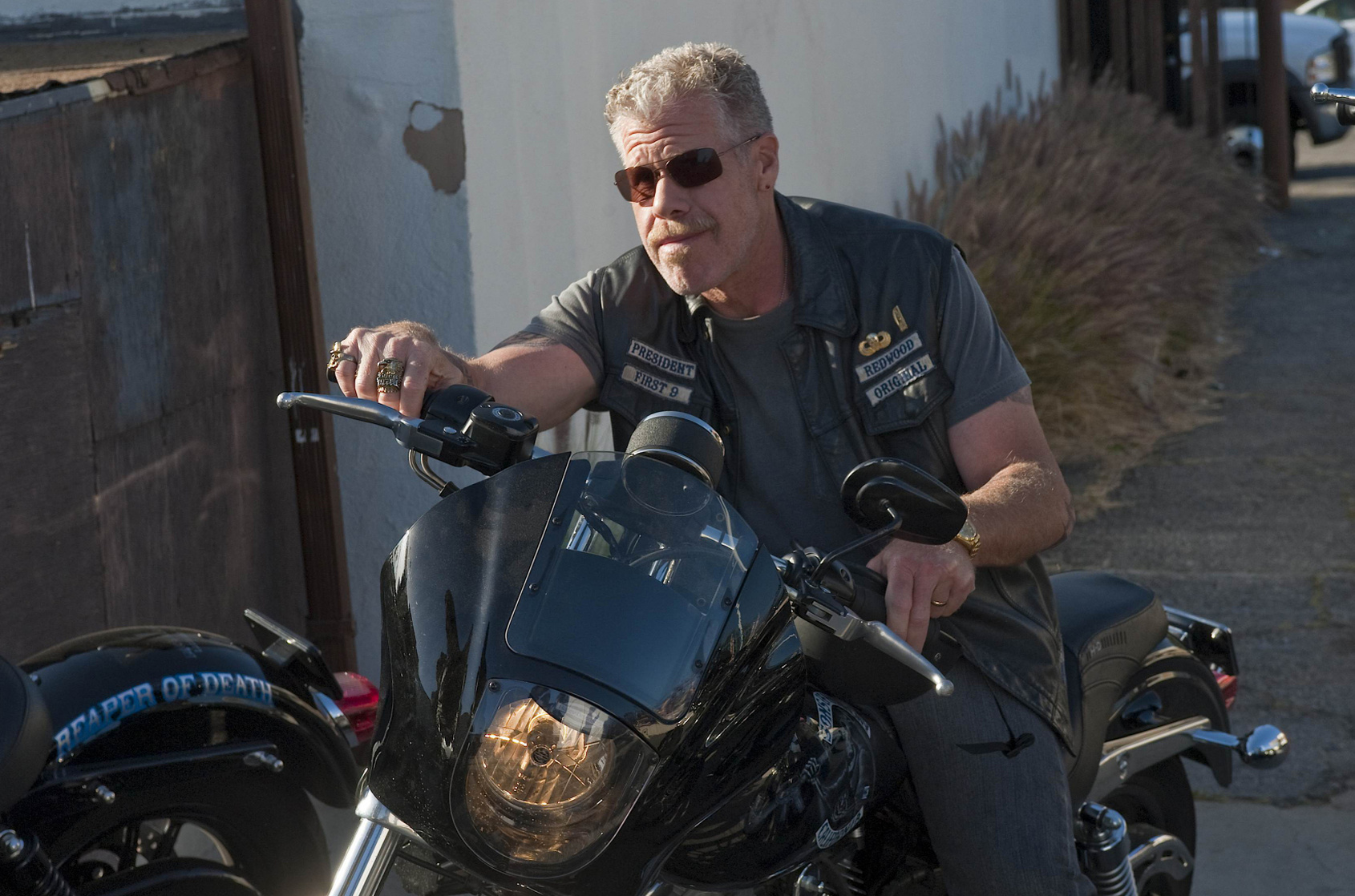 Ron Perlman