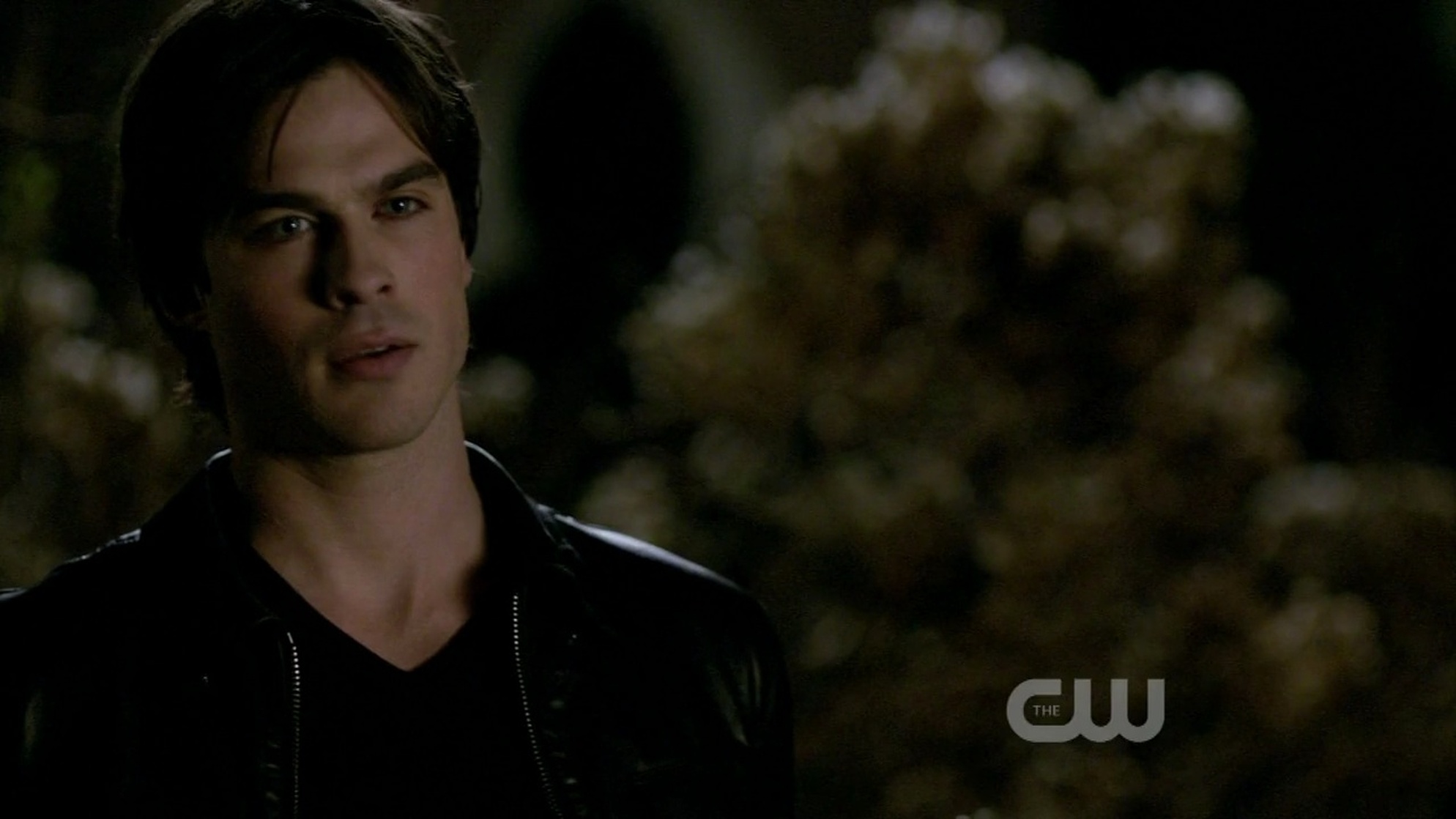 Ian Somerhalder