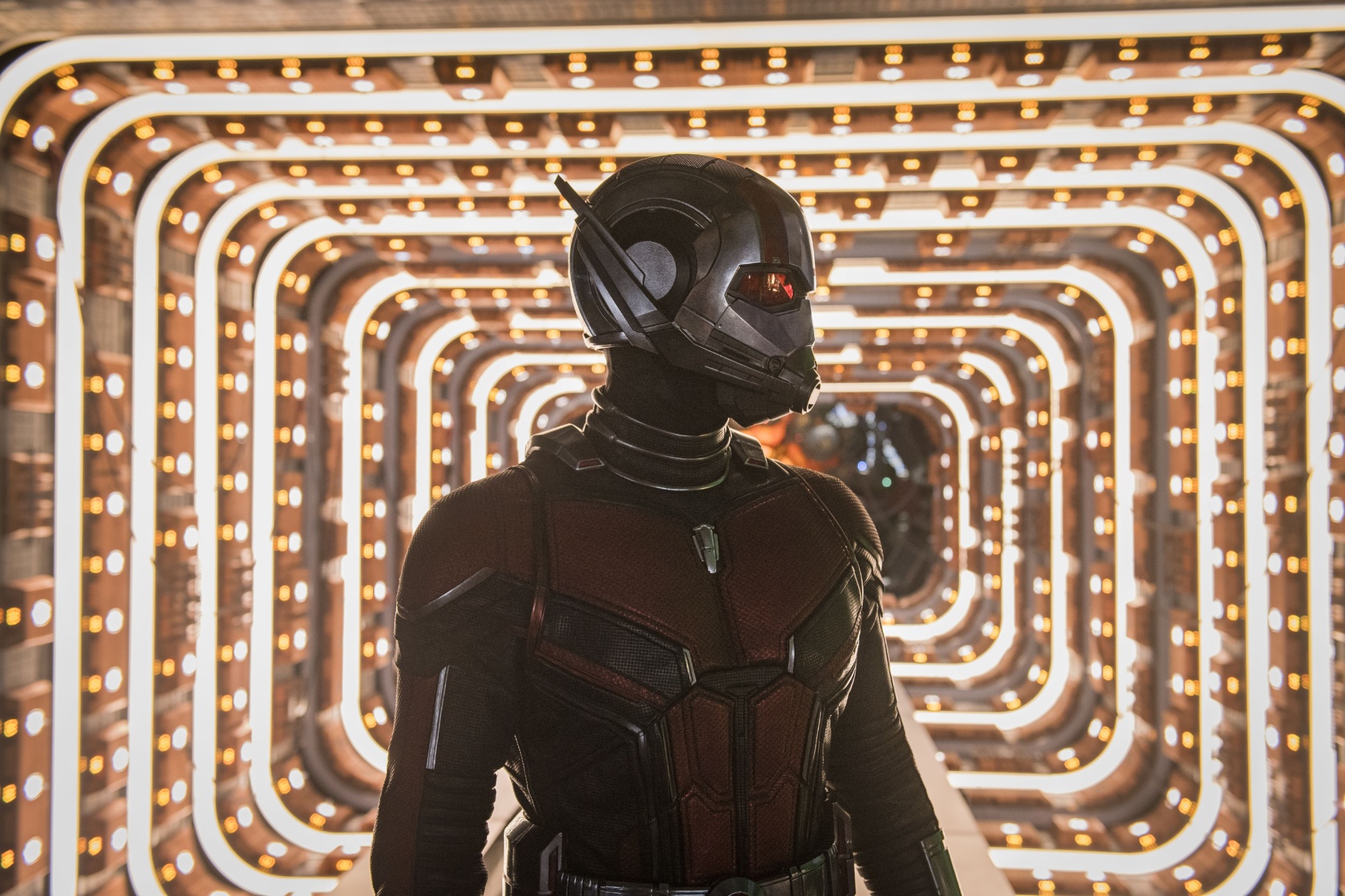 Ant-Man and the Wasp Ant-Man and the Wasp