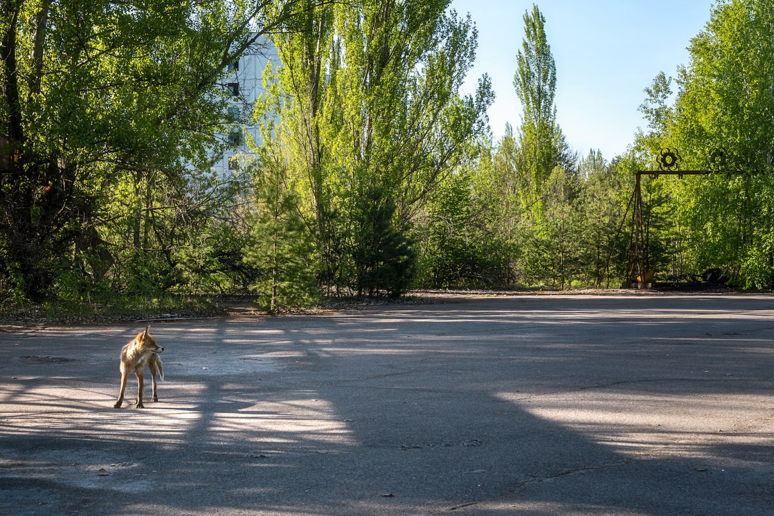 Pripyat