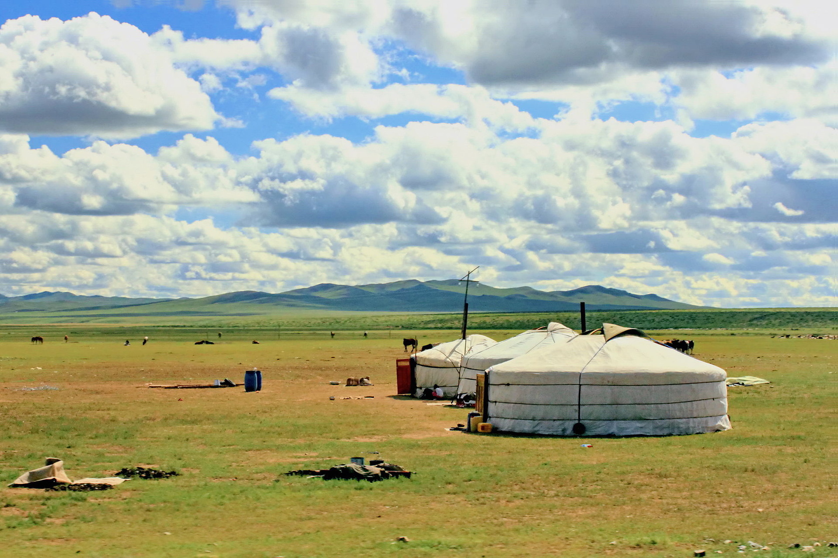 Mongolia