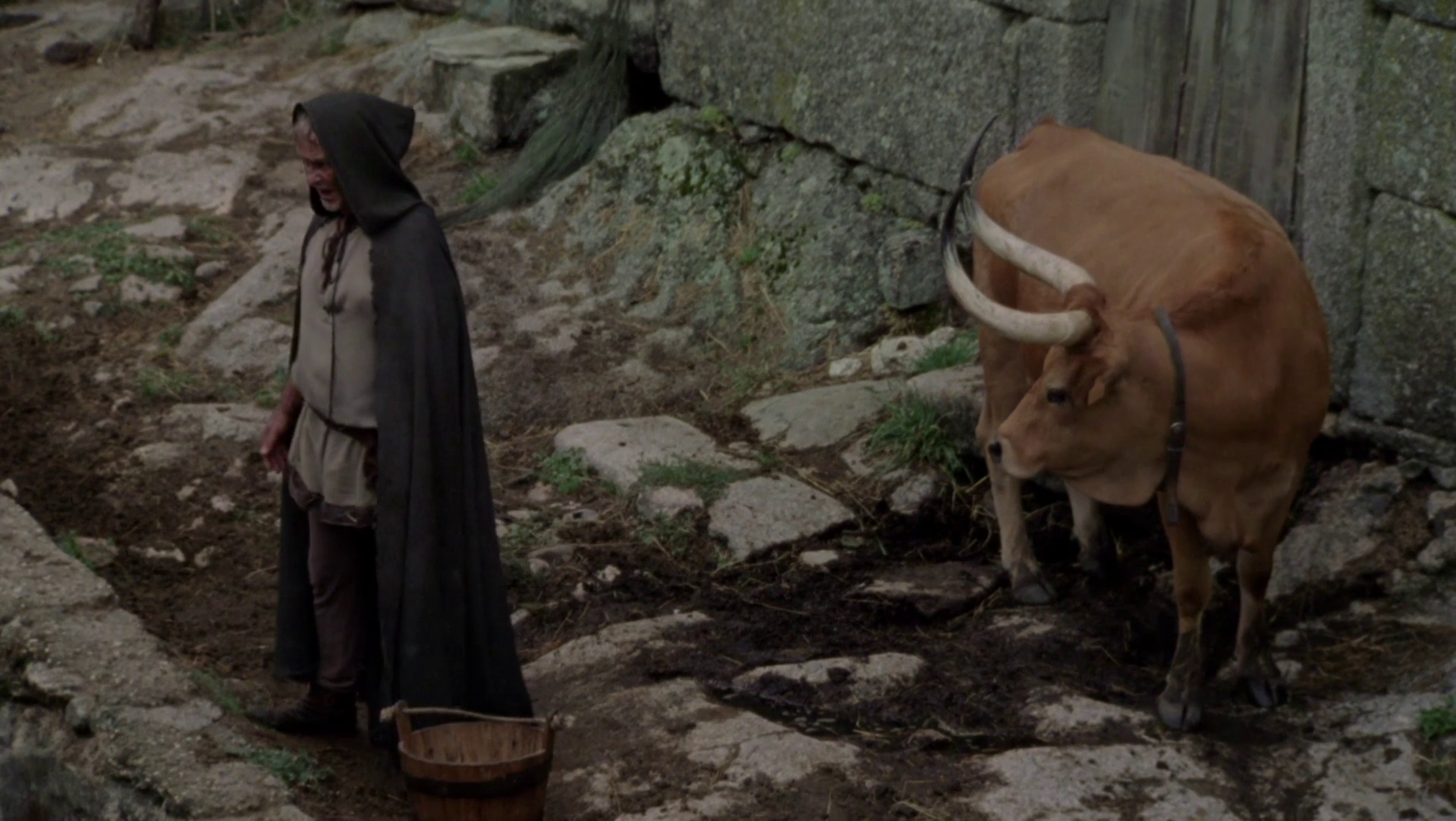 The Hunchback (2016)