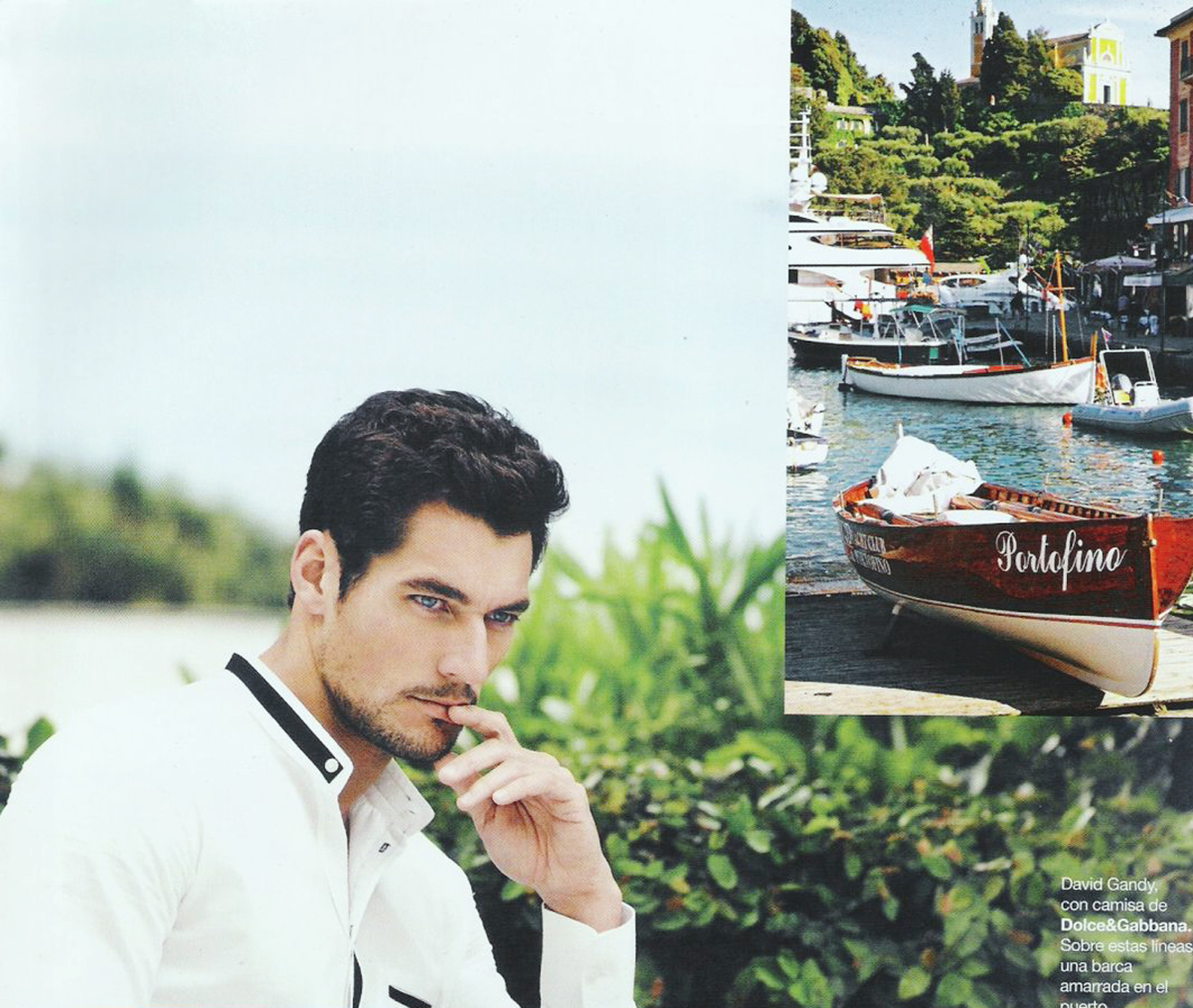 David Gandy David Gandy