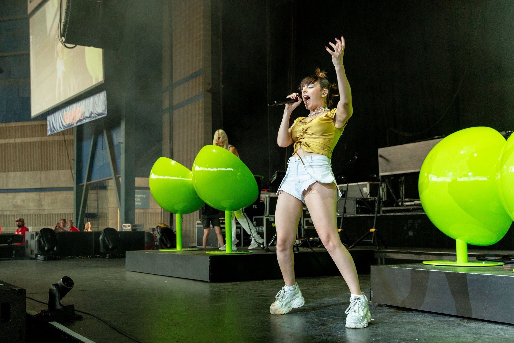 Charli XCX Charli XCX