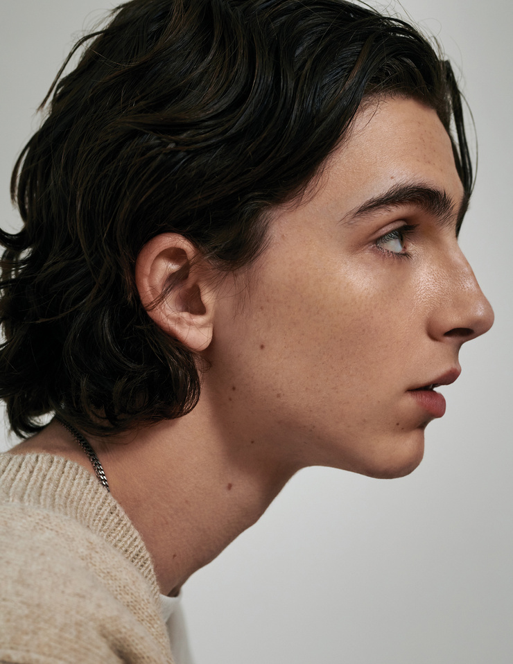 image  timothee chalamet