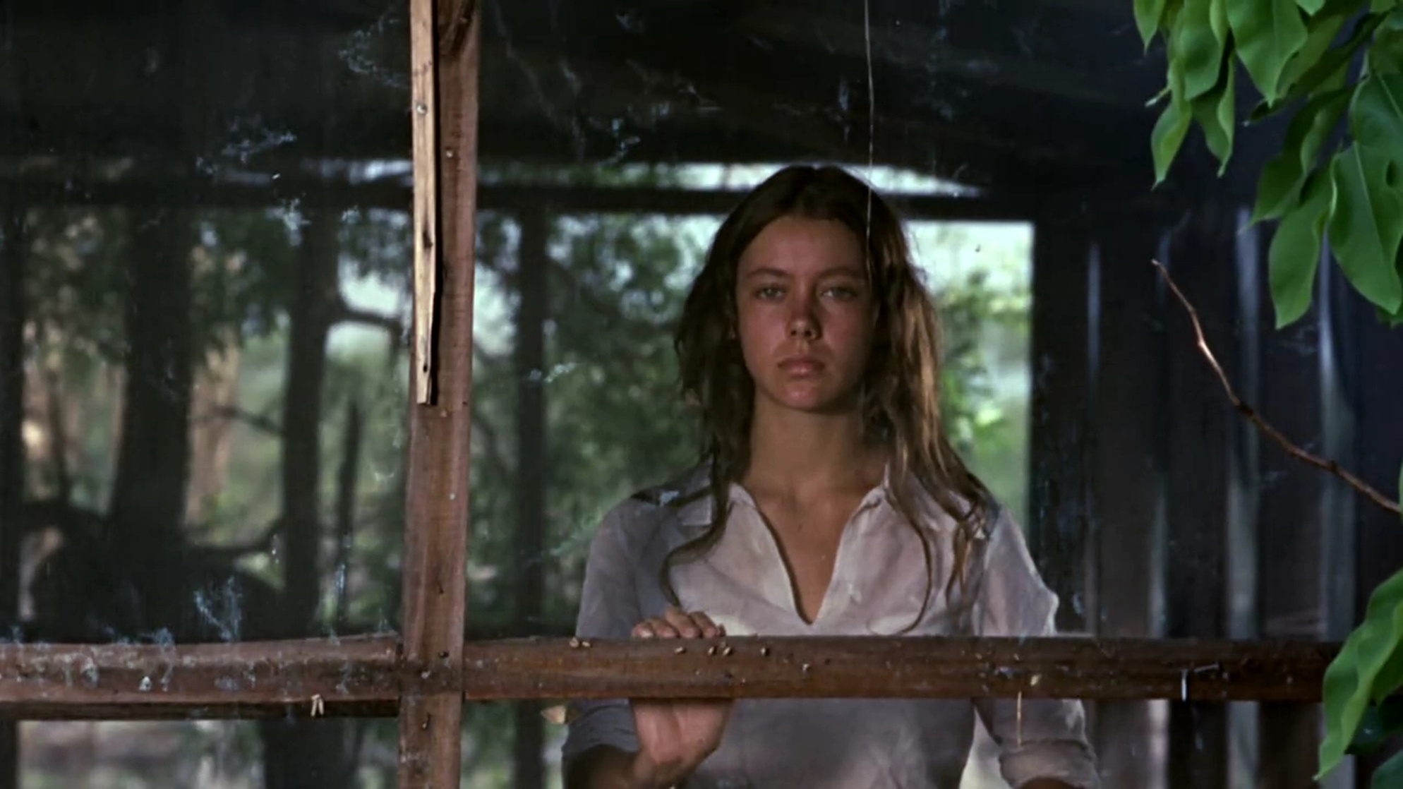 Walkabout (1971) Walkabout (1971)