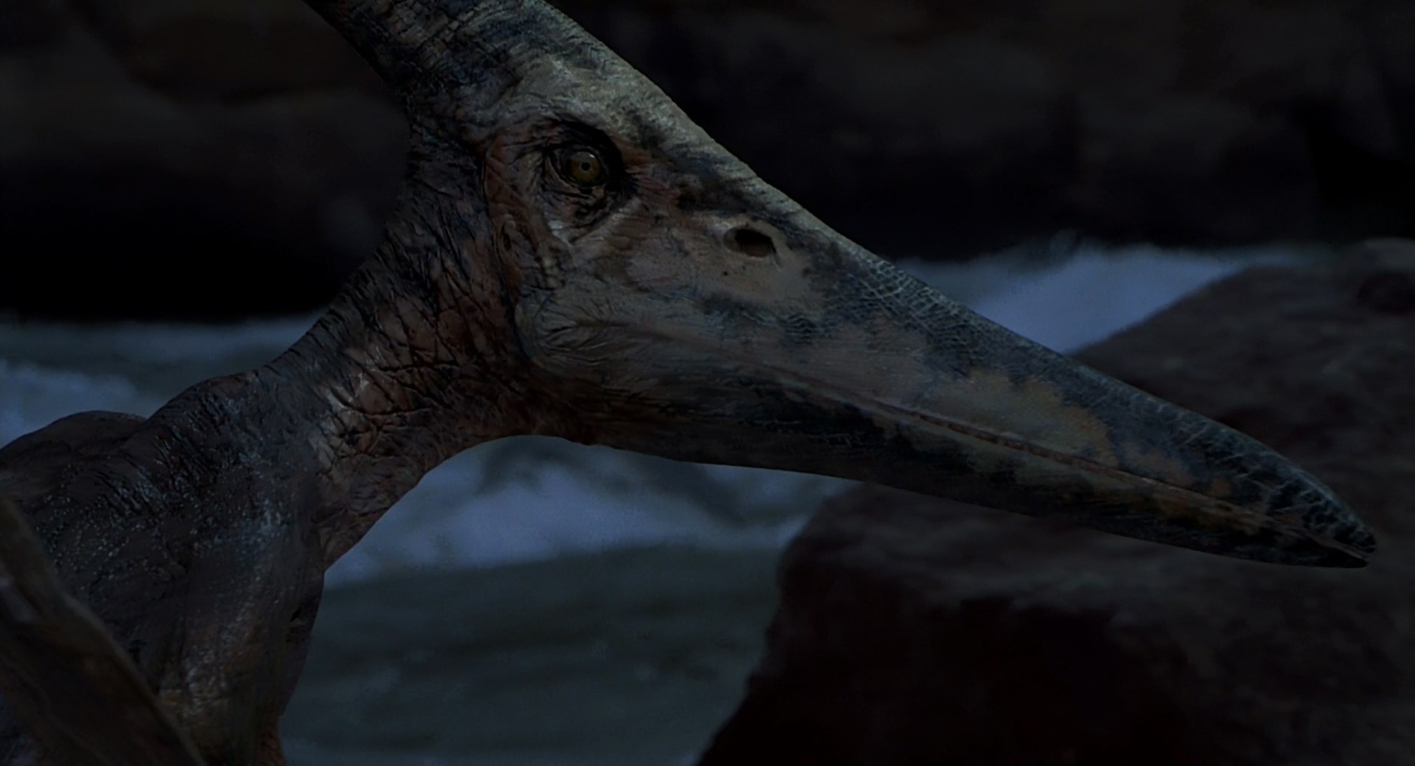Jurassic Park III Jurassic Park III