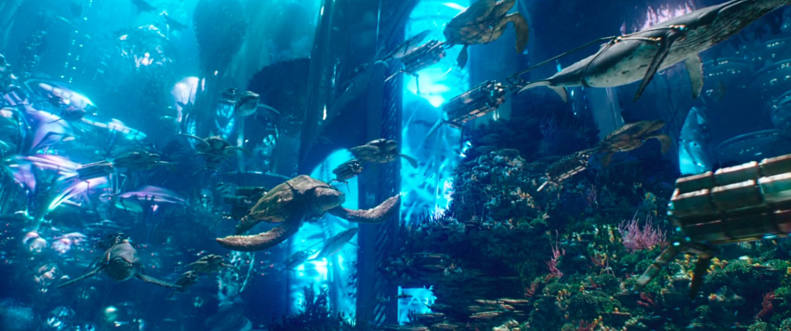 Aquaman