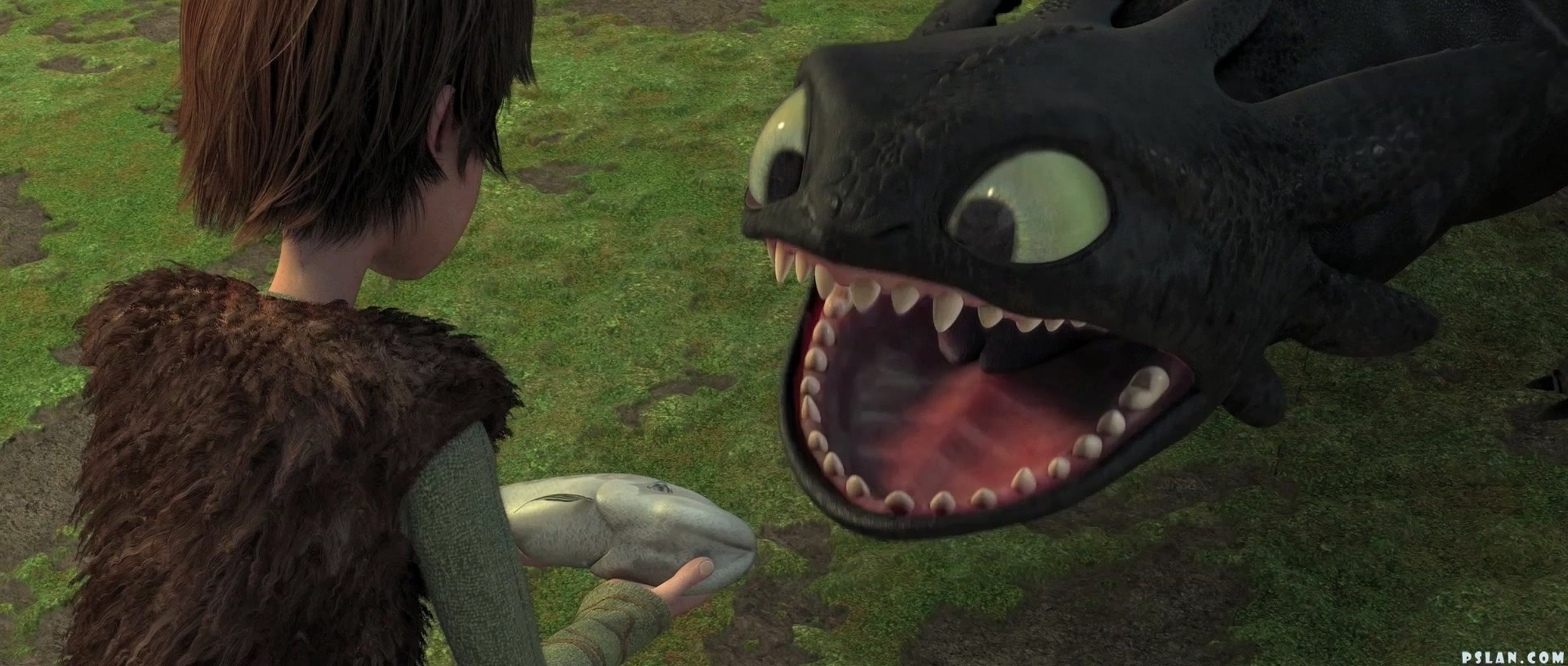 How to Train Your Dragon How to Train Your Dragon