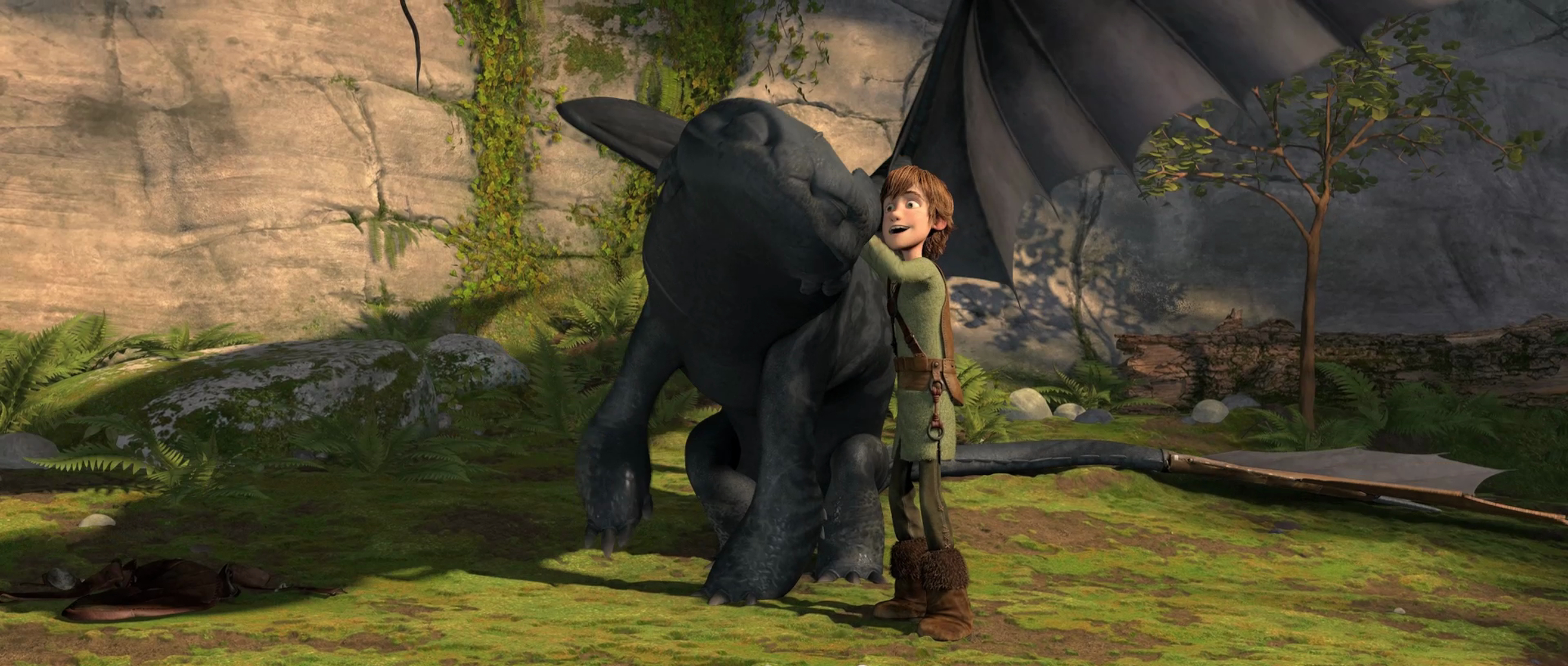 How to Train Your Dragon How to Train Your Dragon