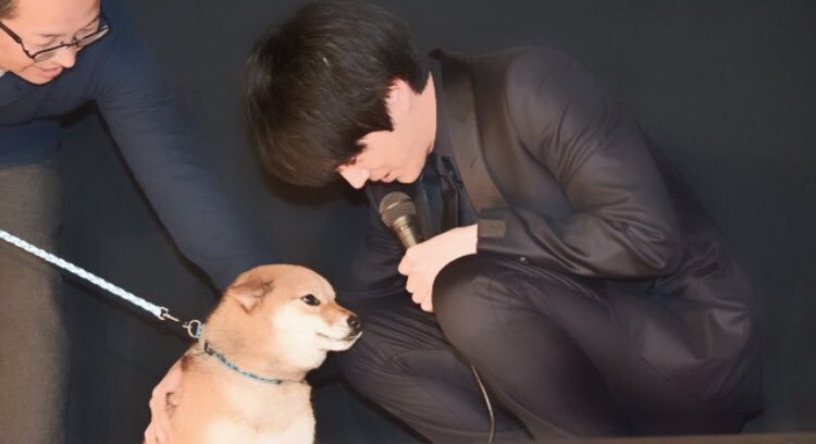 Kento Hayashi