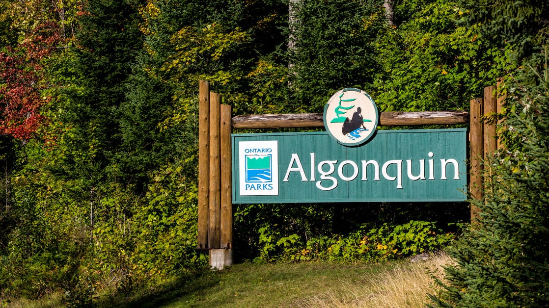 Algonquin Provincial Park