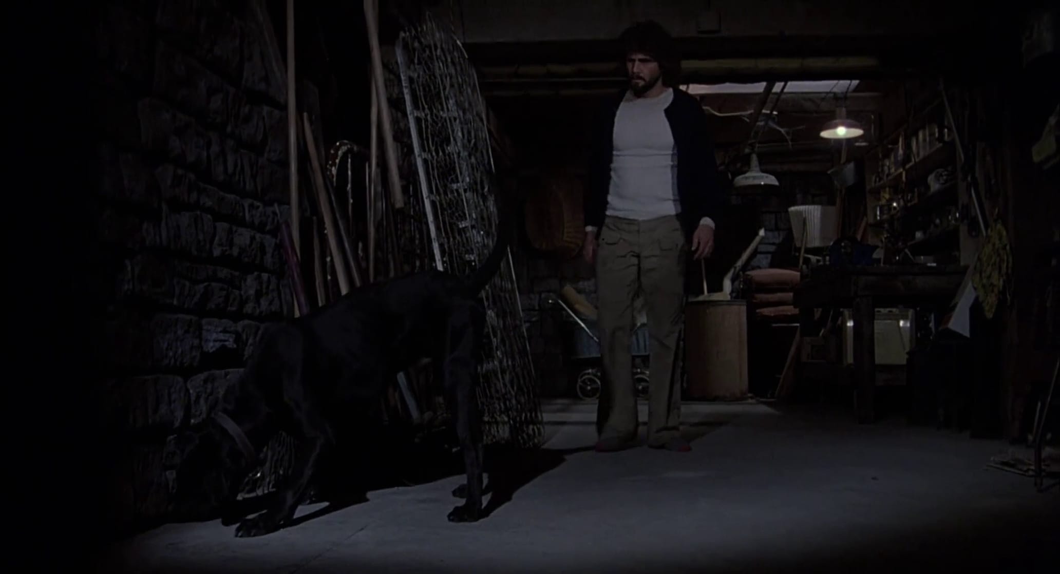 The Amityville Horror The Amityville Horror