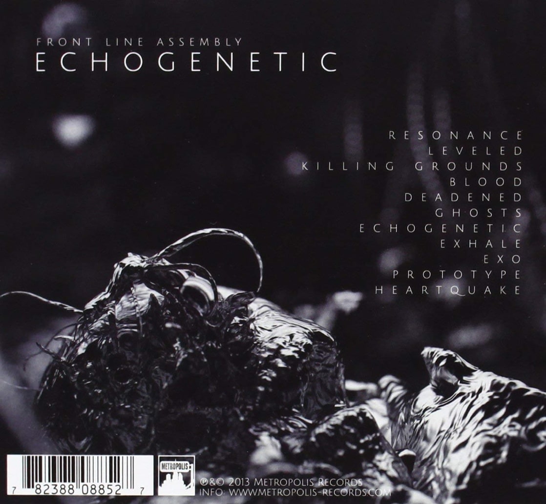 Echogenetic