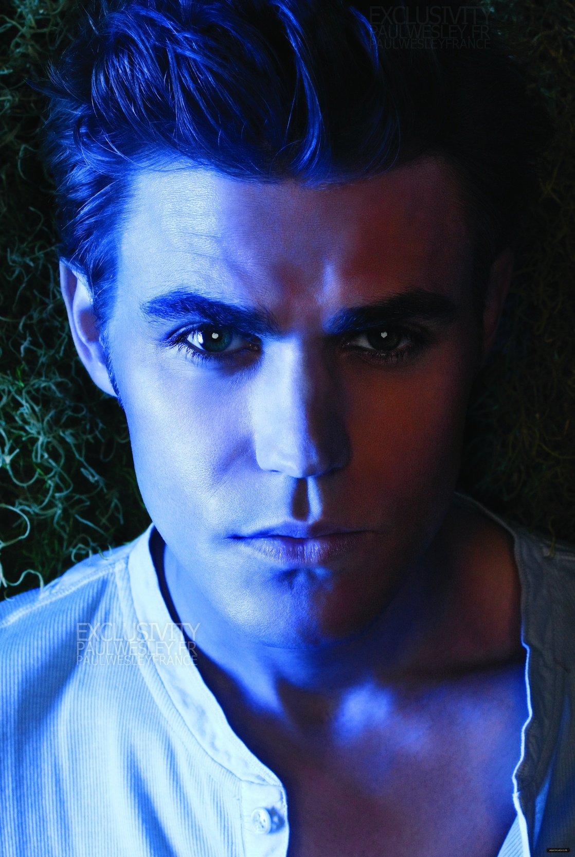 Picture of Paul Wesley