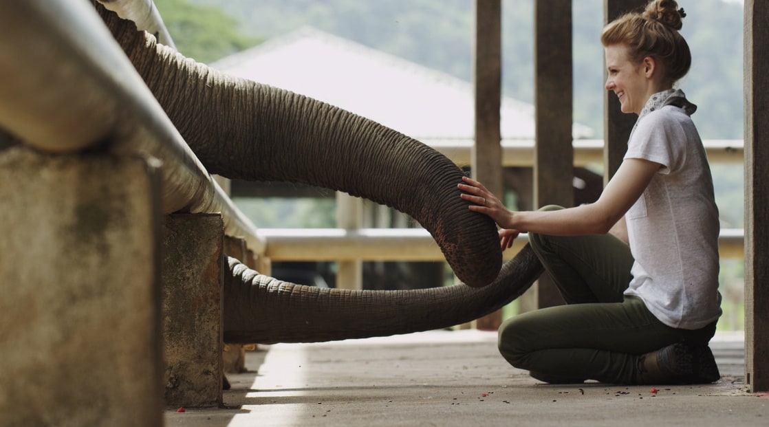 Love & Bananas: An Elephant Story