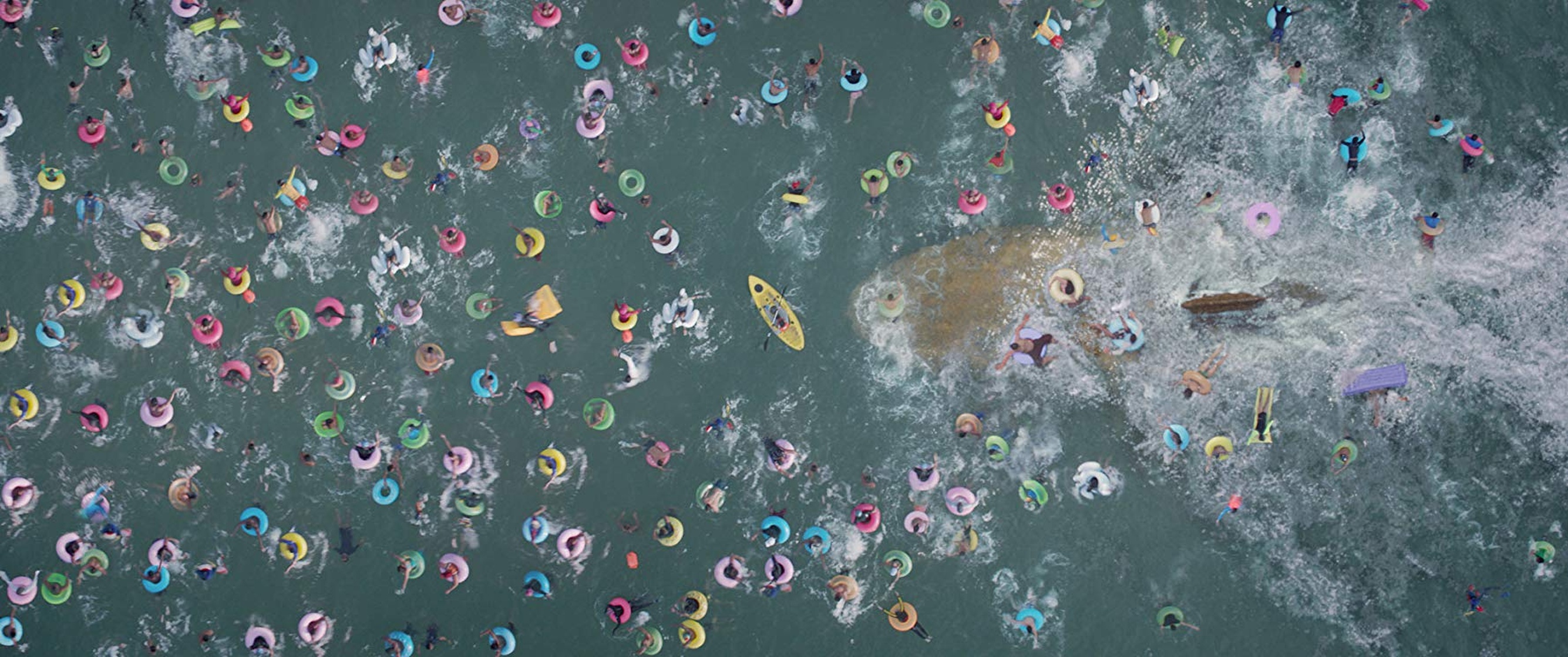 The Meg The Meg
