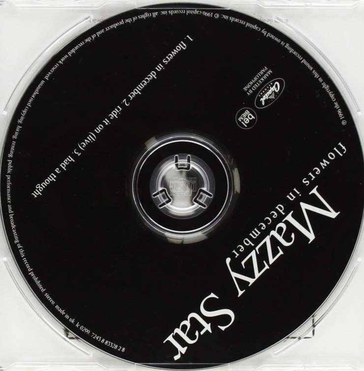 Image of Flowers in December