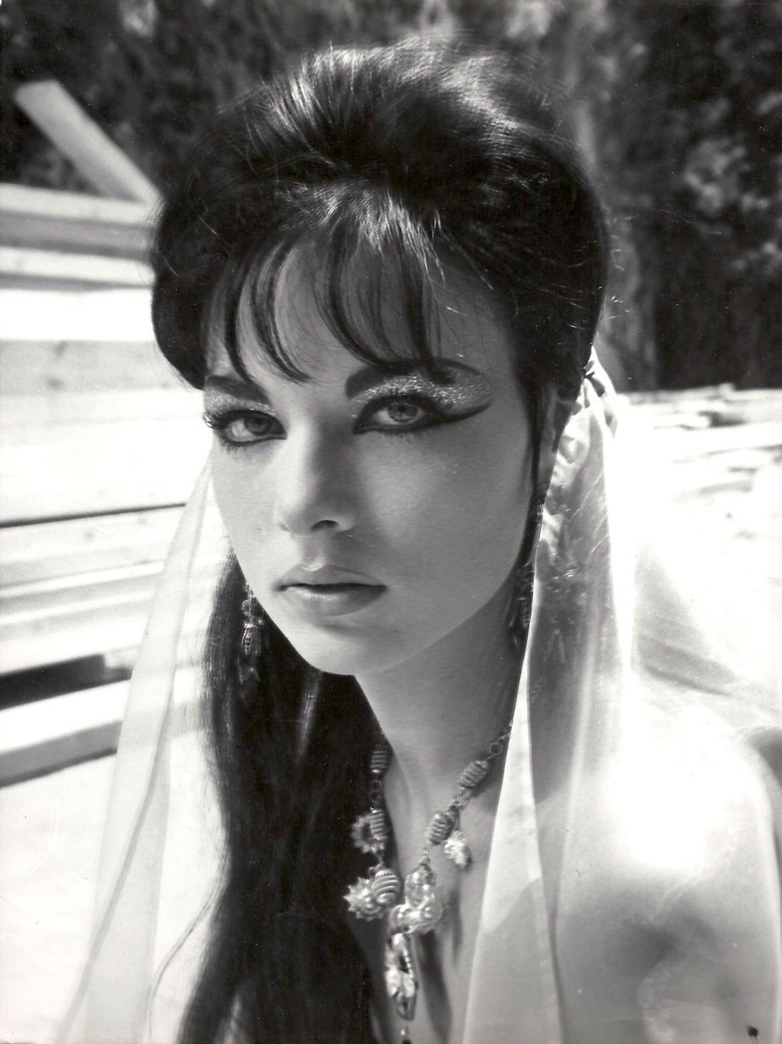 Picture of Marilù Tolo