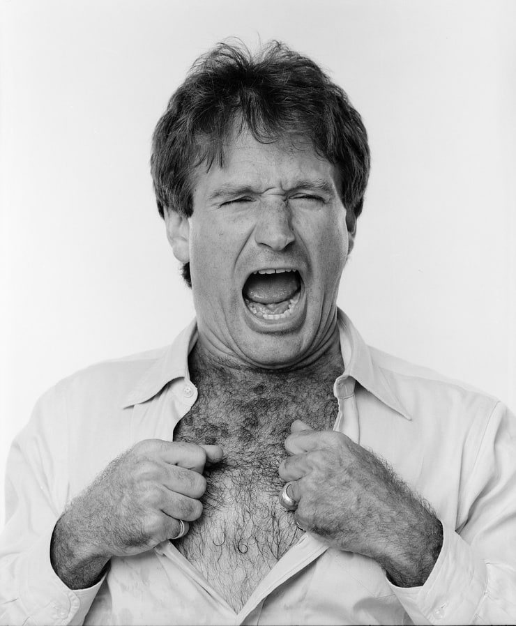 Picture Of Robin Williams