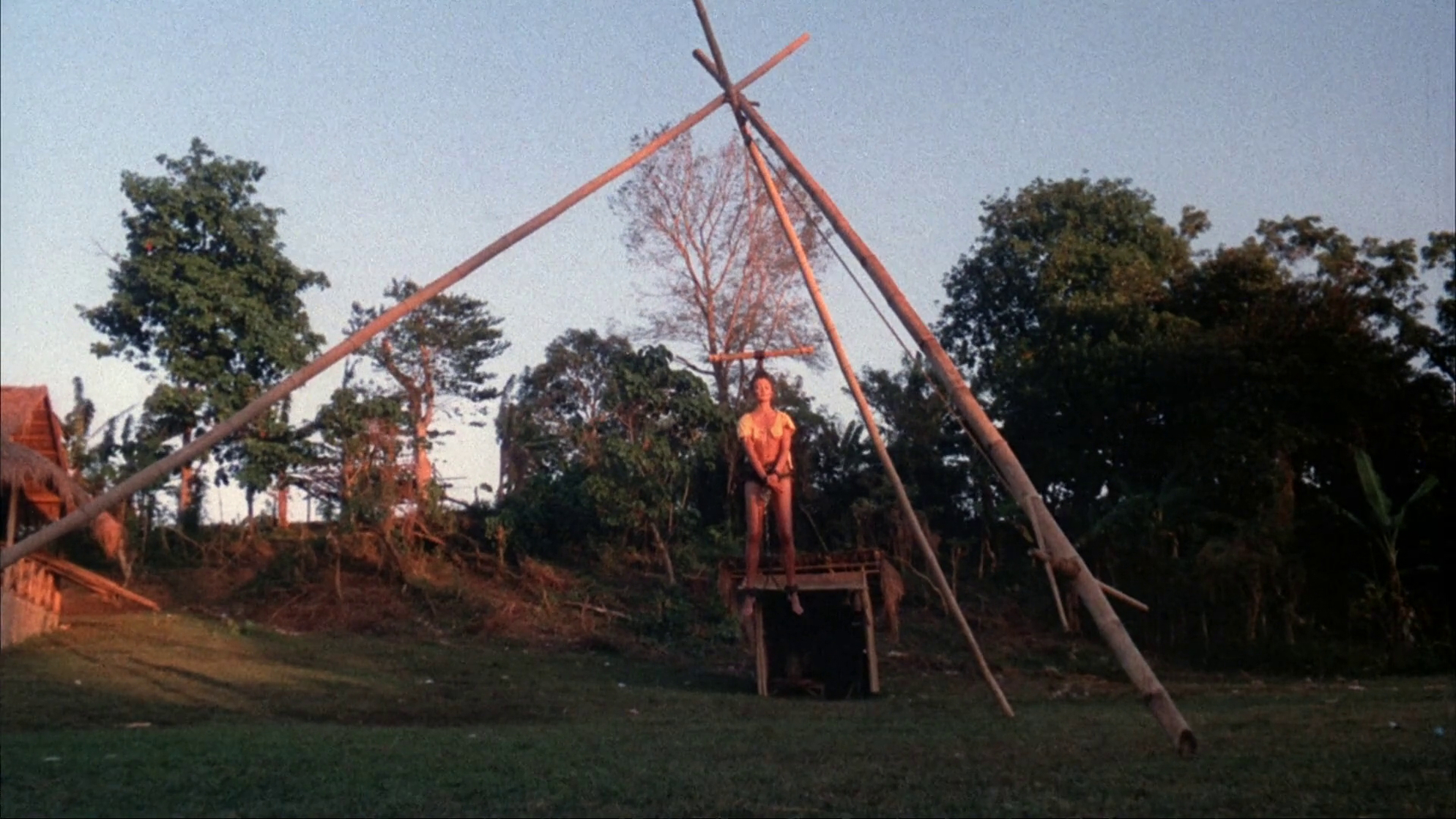 Picture of The Big Bird Cage (1972)