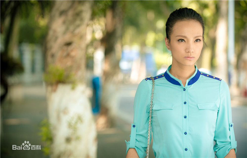 Lu Wei