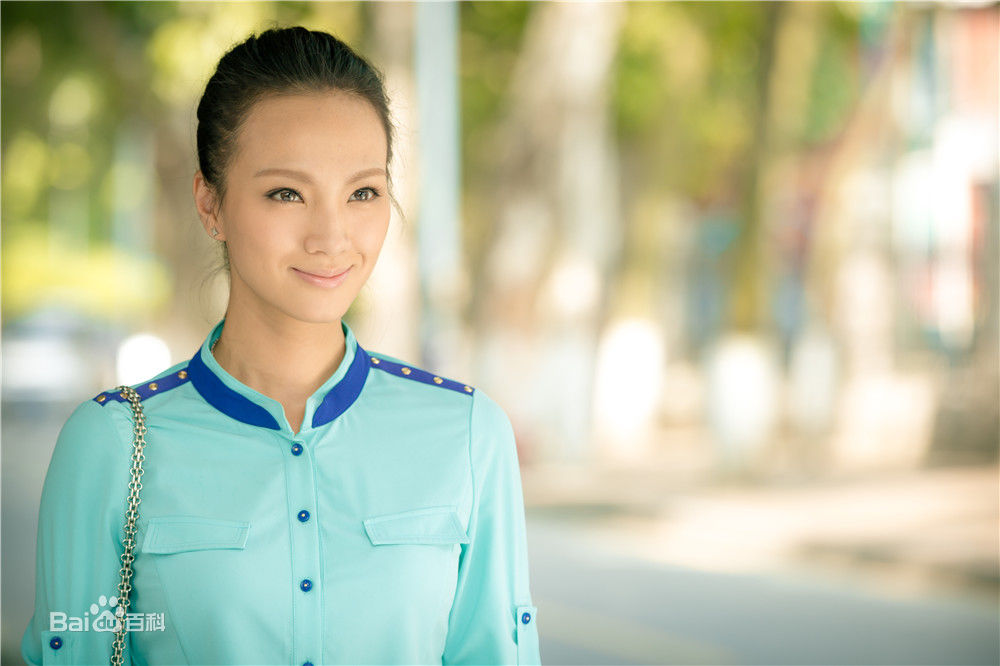 Lu Wei