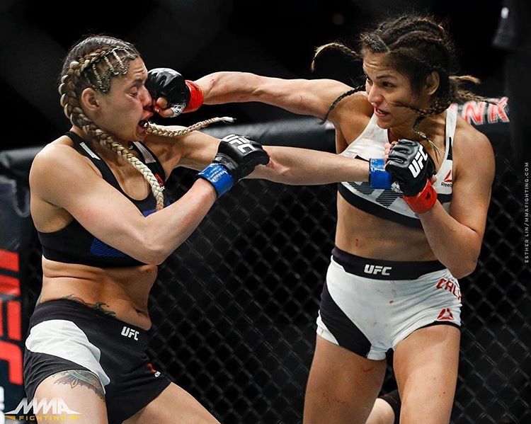 Cynthia Calvillo