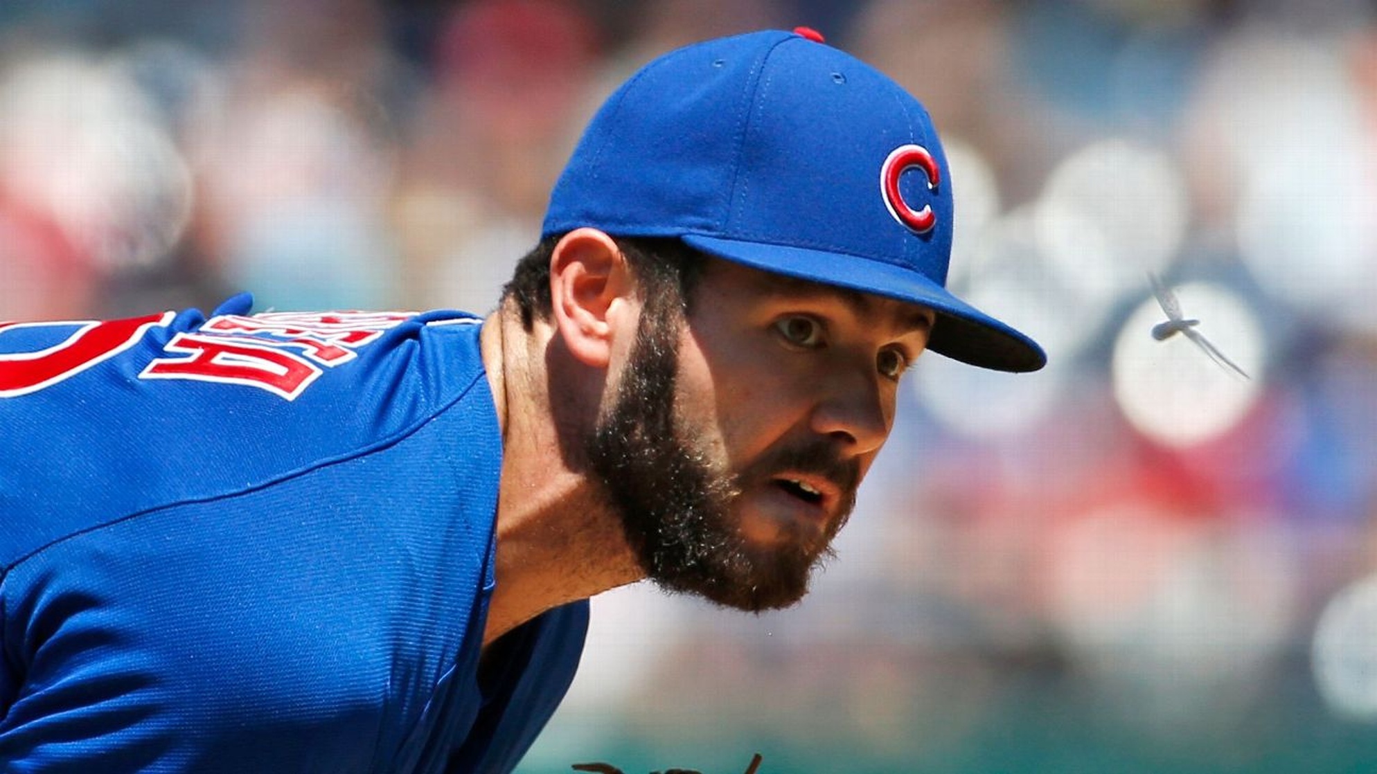 Jake Arrieta