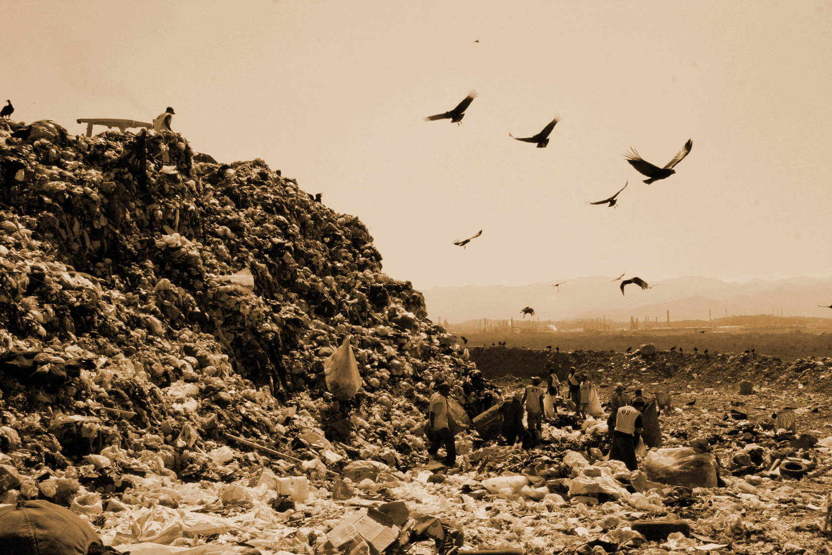 Waste Land Waste Land