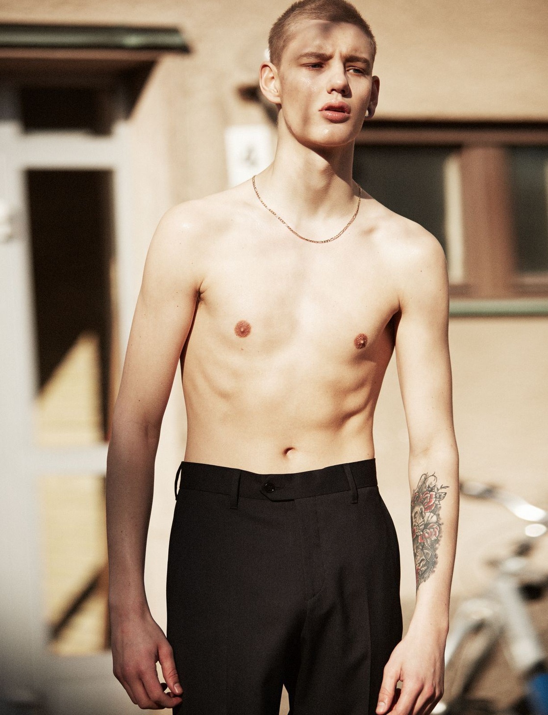 Felix Tornquist