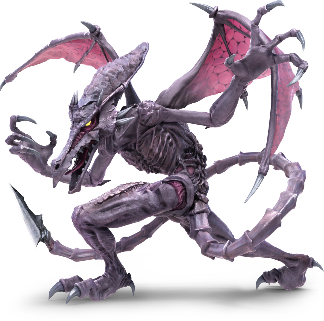 Ridley