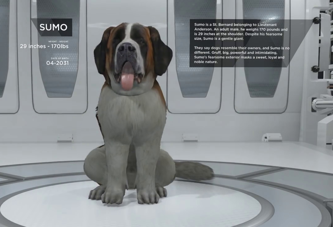 Sumo (Detroit: Become Human)