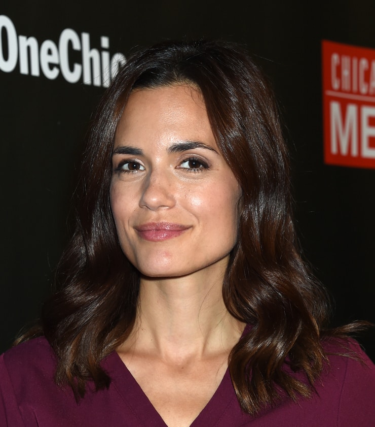 Torrey DeVitto image