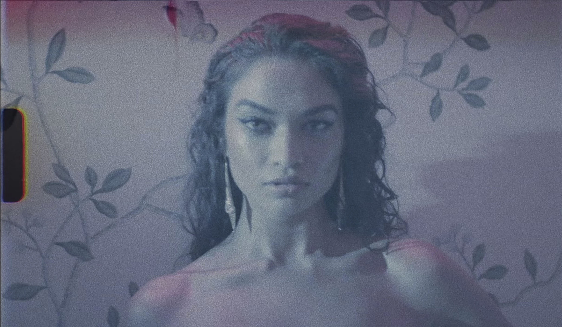 Shanina Shaik
