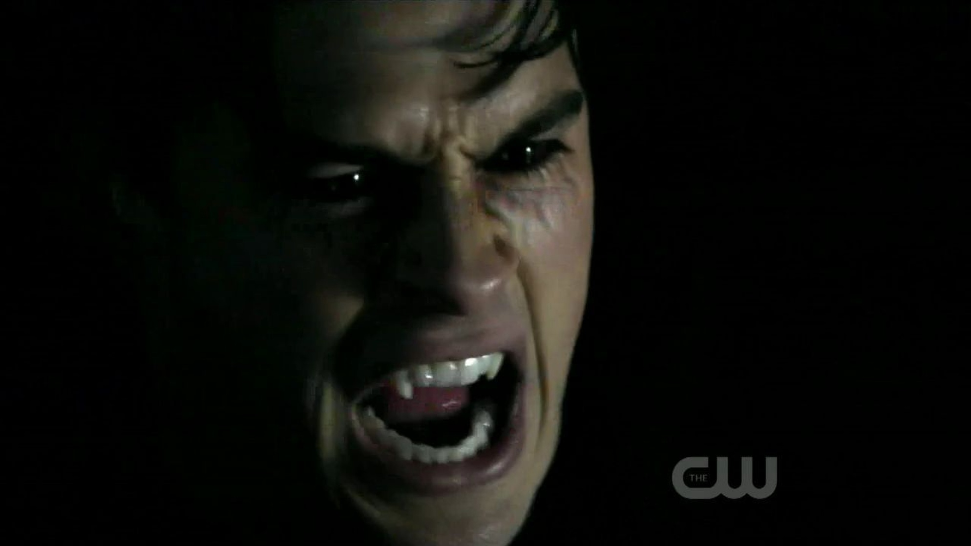 Ian Somerhalder