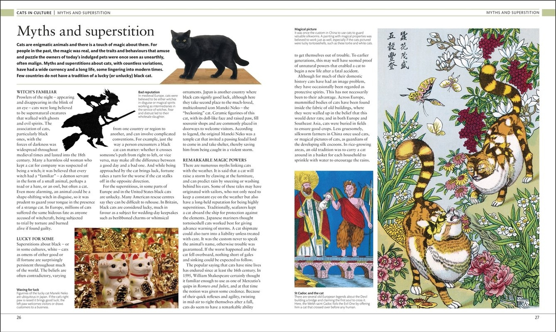 The Cat Encyclopedia: The Definitive Visual Guide