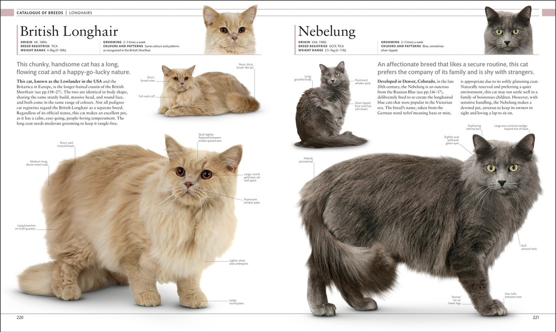 The Cat Encyclopedia: The Definitive Visual Guide