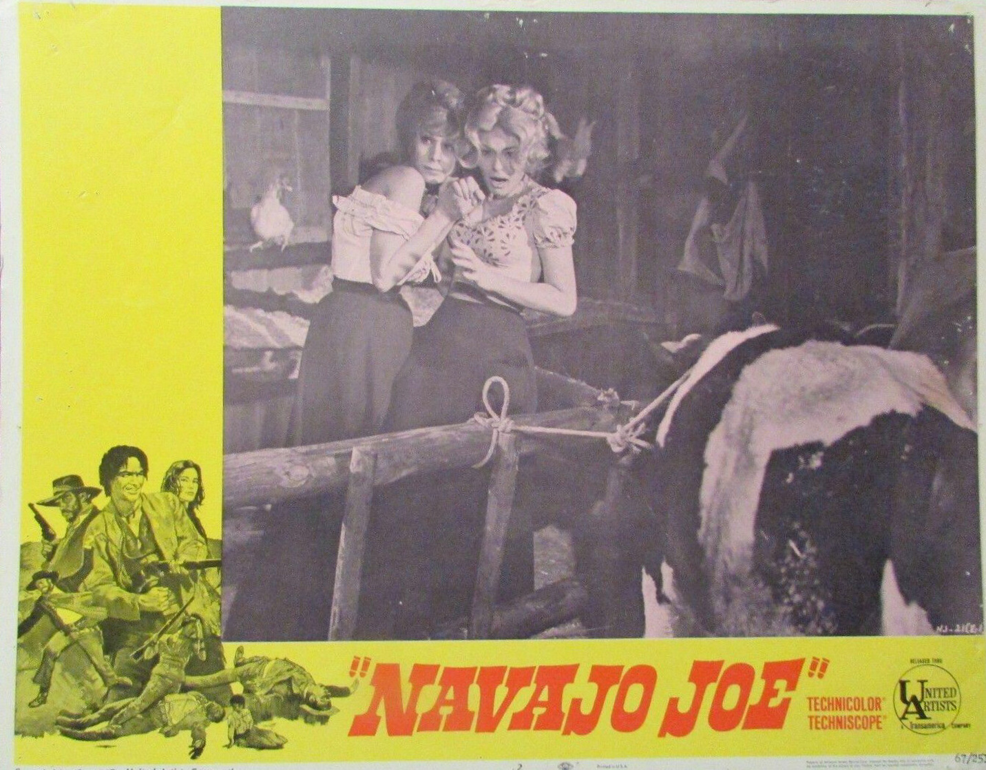 Navajo Joe